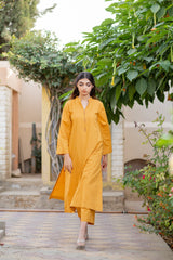 Ravayat By Ariya Apparel Stitched 2 Piece Golden Hour Co-ord Set Collection'2024-Kashan