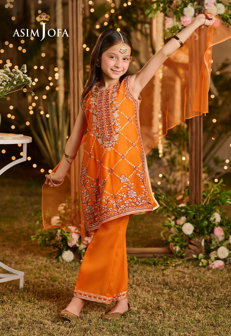 Asim Jofa Kids Pret Ajlk-06 Embroidered Poly Chiffon 3 Pcs