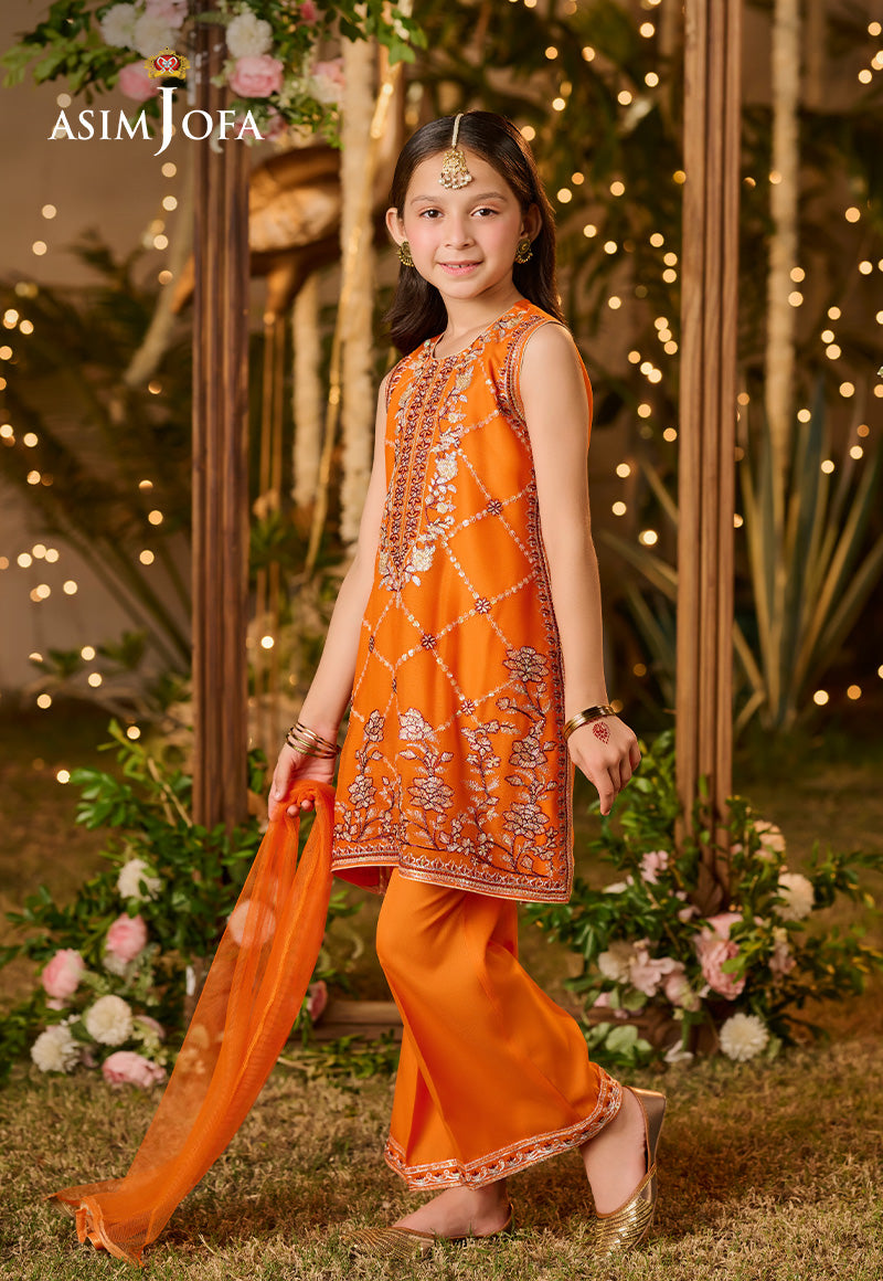 Asim Jofa Kids Pret Ajlk-06 Embroidered Poly Chiffon 3 Pcs