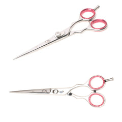 Quetee Beauty Professional Hair Cutting Barber Scissor 6.5 Silver