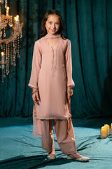 elegant plain chiffon dress designs from Pakistan. Find stylish, fancy dresses for girls, perfect for parties