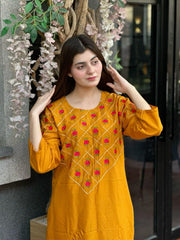 LAIRA Embroidered Article 2Pcs Stitched - zaibehoor