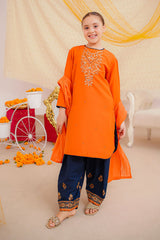 Brighten any occasion with our Orange Dress for Girls. A stylish party wear embroidered suit featuring soft fabric