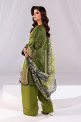 Noor By Imrozia Serene Stitched 3 Piece Summer Collection'2025-SP-62 DANIN