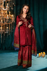 Shop the latest Pakistani velvet dress designs for girls. Find elegant, embroidered party wear perfect for festive