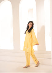 Abeera Stitched Co Ords Cotton Solid Edit-Butter Bloom-Se-06