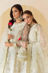 Rang e Mehr by Alizeh Fashions Unstitched Luxury Chiffon Collection'2023 D-07-Ghazal
