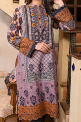 Rafia Khas Stitched Digital Printed Khaddar Shirt Collection'2022-DPKHK-37