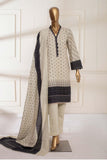 Bin Saeed Stitched 3 Piece Printed Khaddar Collection'2022-KF-077-Skin