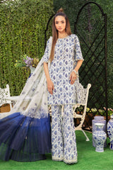 Maria b M Print Unstitched 3 Piece Lawn Collection'2022-MPT-1306-A