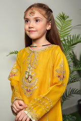 Shanzey Kids Stitched 3 Piece Eid Formals Vol-02 Collection'2023-SHK-1206