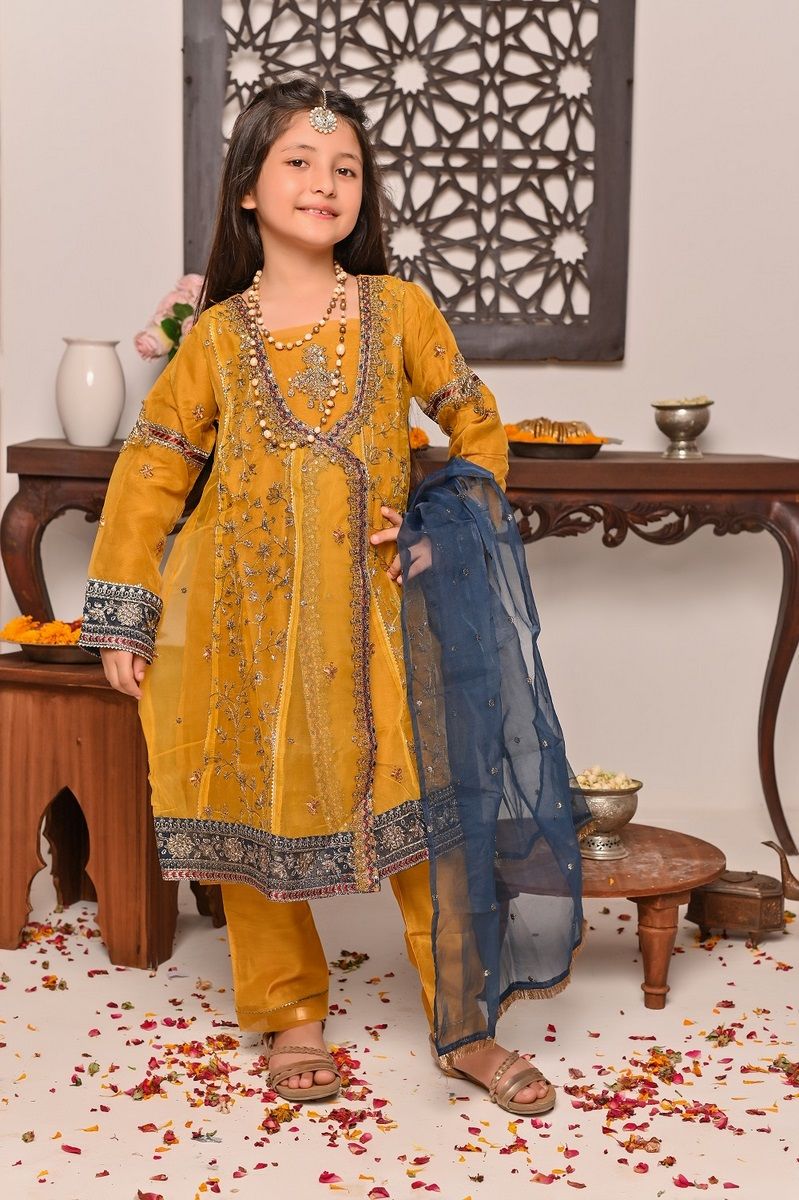 Shanzey Stitched 3 Piece Bari Eid Pret kids Formal Collection'2022-SHK-608-Dhani