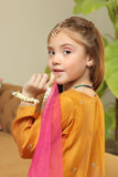 Tehwaar by Shanzey Stitched 3 Piece Formal Festive Collection'2022-SHK-907
